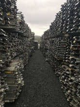 Steel decks for your next project.